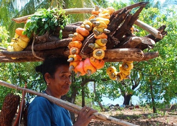 Javara: Community Farming for Biodiversity, Culture, 600 Products ...