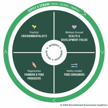 Nourishment Economies Diagram - Science plus Economics (copyright 2025)